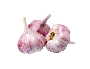 Garlic isolated