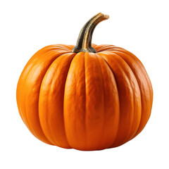 Obraz premium pumpkin 
