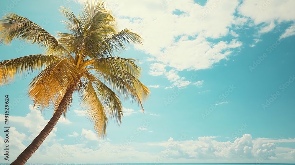 Poster palm tree on tropical beach with blue sky and white clouds abstract background copy space of summer 