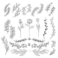 Minimalist hand drawn botanical vector illustration collection. Art for greeting cards, wedding invitations, poster design, postcards, branding, logo design, background.