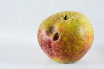 detail of an organic home-grown apple with wormhole