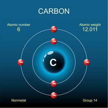 Carbon atom structure. Bohr model of atom
