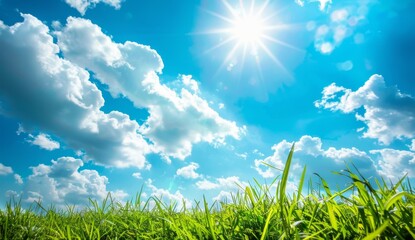 Obraz premium A bright blue sky with white clouds, a green grassy field, and a beautiful landscape. The background is a clear sky with fluffy white clouds.