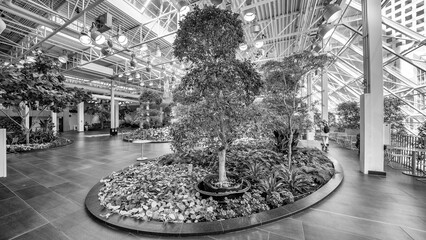 Calgary, Canada - July 10, 2024: Devonian Gardens in the CORE shopping centre