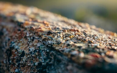 Rough stone texture. Close-up of a rugged stone surface showing natural texture and variations in color.