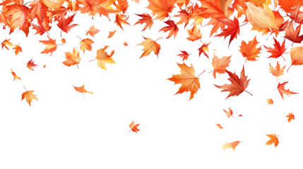 Autumn background with falling leaves isolated on white