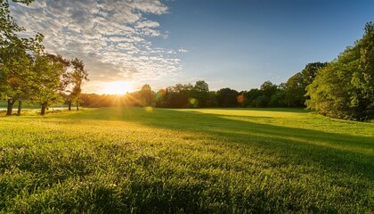 Summer evening setting featuring vibrant foliage and deep green grass beneath a gentle sunlit sky