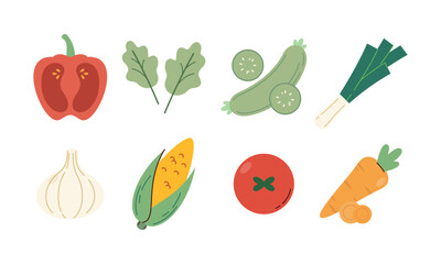 Flat Set Hand Drawn Healthy Food Illustration of Vegetables Vector Isolated on White Background
