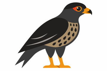 Fototapeta premium Creative vector design of African goshawk bird