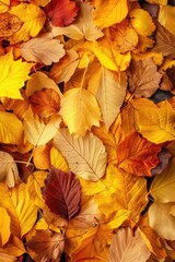 Fototapeta premium A pile of autumn leaves scattered on the ground