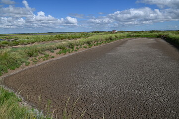 Fototapeta premium Mornac-sur-Seudre (Charente-Maritime)
