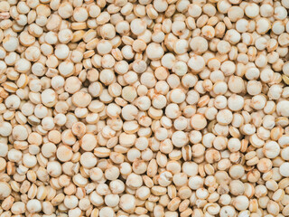 Grain of quinoa. Uncooked raw quinoa as background. Healthy vegan food concept and pattern