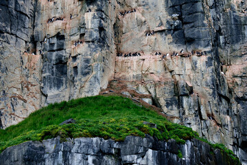 The Alkefjellet cliff in Lomfjordhalvoya in Ny-Friesland at Spitsbergen