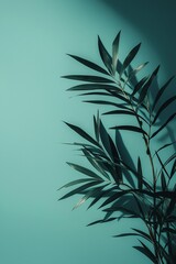 Fototapeta premium A composition of tall, graceful green leaves against a calm teal background, highlighted by soft sunlight textures and shadows.