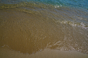 Landscape in the Camargue Provence South of France