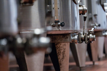 Création après la récolte des vendanges