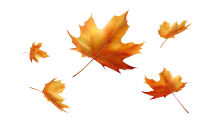 Floating maple leaf effect, transparent background. PNG