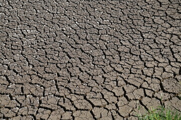 Mornac-sur-Seudre (Charente-Maritime)
