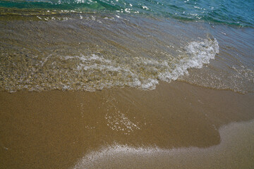 Landscape in the Camargue Provence South of France