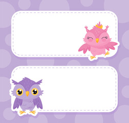 Funny Owl Empty Note Card with Space Vector Template