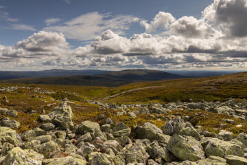 backpack, beautiful, cloud, cumulus, dalarna, desolated, europe, foliage, heather, hike, hiking, hill, horizon, idre, idre fjäll, landscape, mountain, nature, nature reserve, nipfjället, nordic, overv