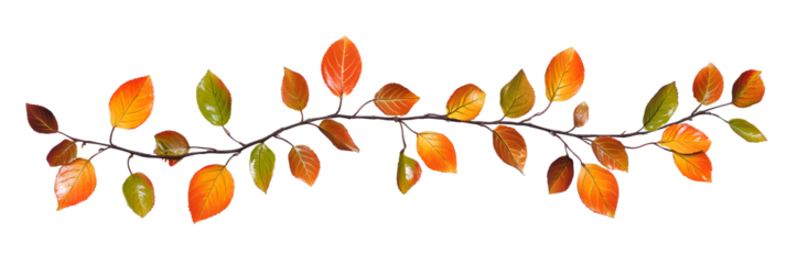 Autumn twig with colorful leaves in a seasonal garland isolated on white or transparent background