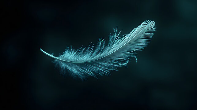 Teal Feather Silhouette on Black