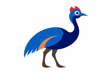Fototapeta premium Cassowary bird creative vector design