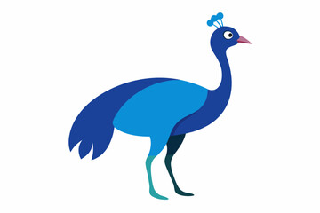 Fototapeta premium Cassowary bird creative vector design