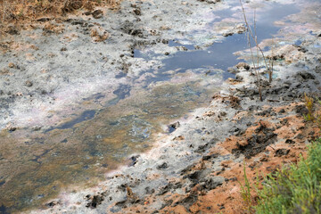 Landscape in the Camargue Provence South of France