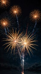 Firework cracker bursting in the night sky, showcasing light.