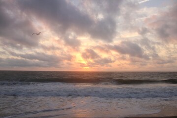 Obraz premium Sunrise on Rehoboth Beach 