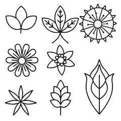 flowers and leaves line art decorative vector collection set silhouette