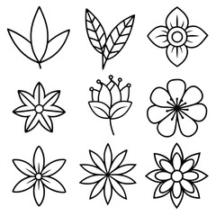 flowers and leaves line art decorative vector collection set silhouette