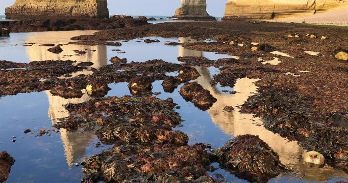 Mar&eacute;e basse au pied de la porte d'aval des falaises d'&Eacute;tretat .
