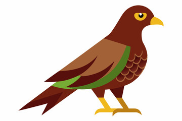 Obraz premium Forest buzzard bird vector illustration