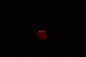 glowing red moon shining against a dark night sky
