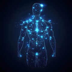 the human body by ultrasonography