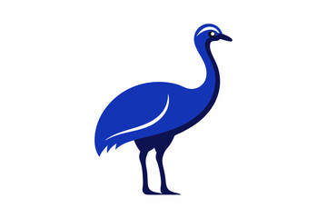 peacock isolated on white background