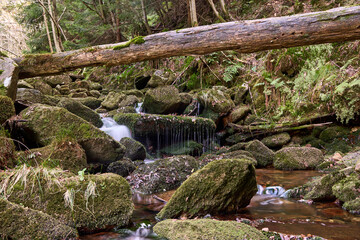 Czarny Potok, jeden z wielu górskich strumieni, Góry  zerskie, Polska, Europa © Zbigniew