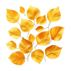 Obraz premium A vibrant collection of golden yellow autumn leaves isolated on a white background, perfect for seasonal and nature-themed projects.