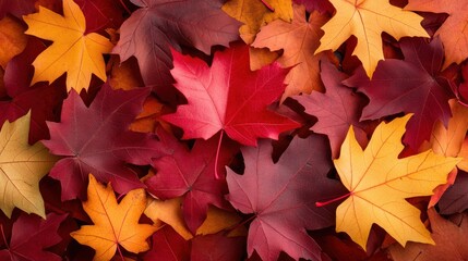 Fototapeta premium A close up shot of fallen autumn leaves in vibrant reds, oranges, and yellows, showcasing the beauty and warmth of the season.