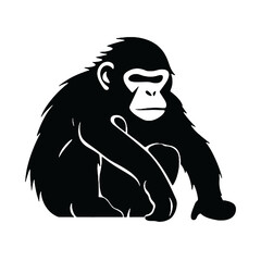 chimpanzee chimp  silhouette vector illustration  transparent background