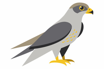 Fototapeta premium Creative vector design full body illustration of a gyrfalcon bird on a white background