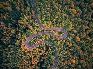 Aerial drone view of a winding mountain road in the Carpathians, cutting through dense forests and rugged terrain.