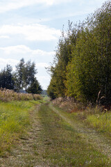 Landscape in the countryside on a sunny September day.