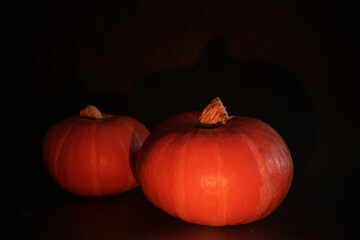 Halloween pumpkins on black