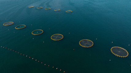 Aerial view of circular nets for fish farming in the sea. Fish farming concept.