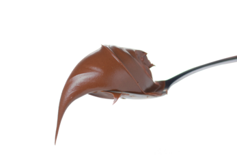 spoon of chocolate hazelnut paste macro on isolation
