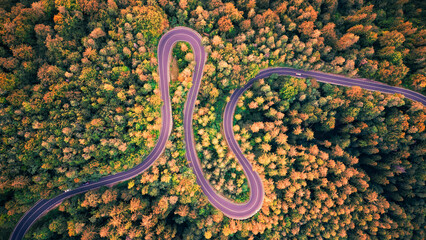 Aerial drone view of a winding mountain road in the Carpathians, cutting through dense forests and rugged terrain.